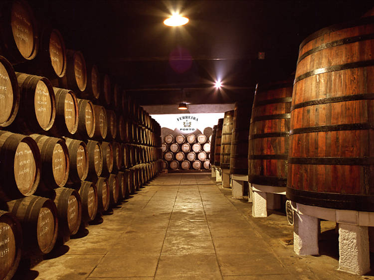 Row of port wine barrels in a cave