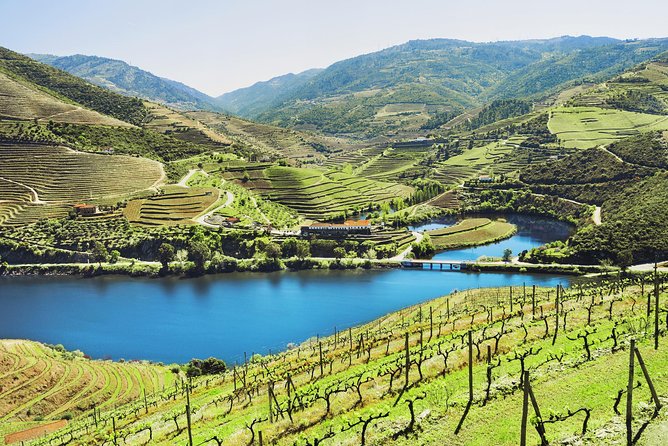 Douro Valley vineyards and river