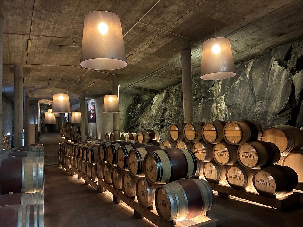 Modern wine cave with barrels